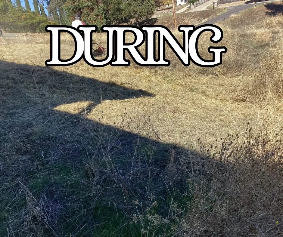 Expert lawn mowing service with custom design across Lodi, CA - Crust Home Care