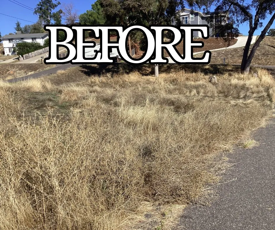 Custom landscape installation experts serving Lodi, CA - Crust Home Care