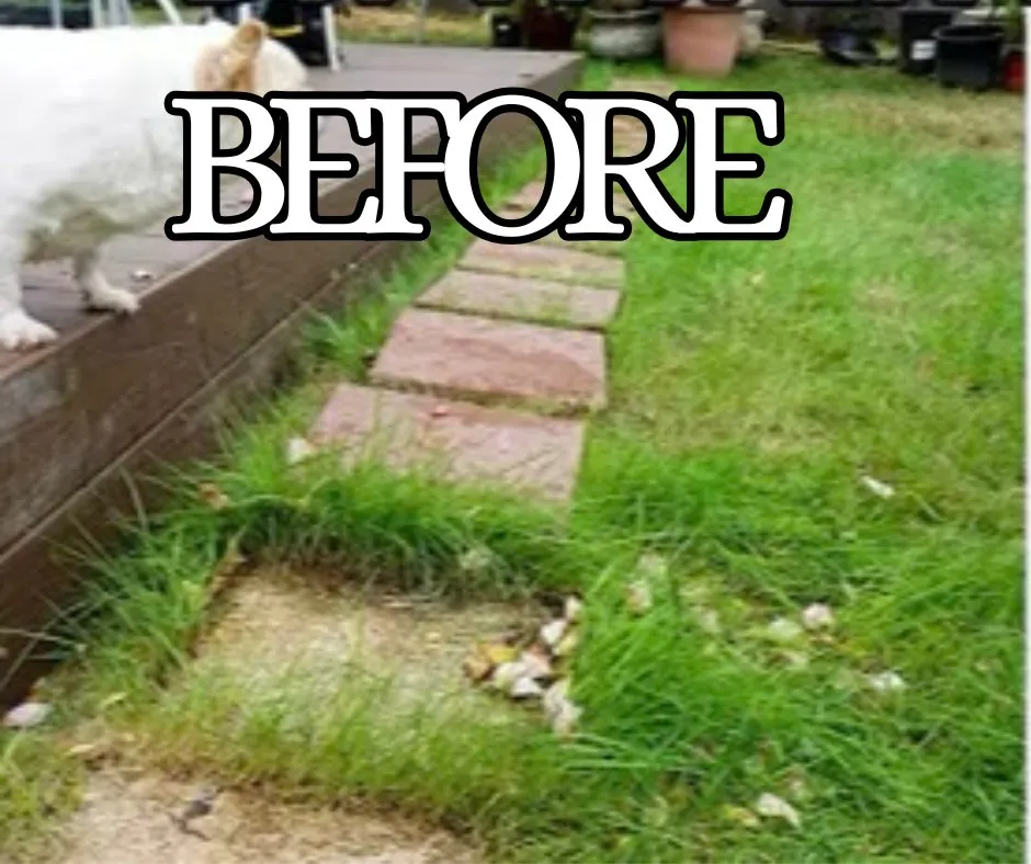 Affordable yard cleanup service in Lodi, CA - Crust Home Care