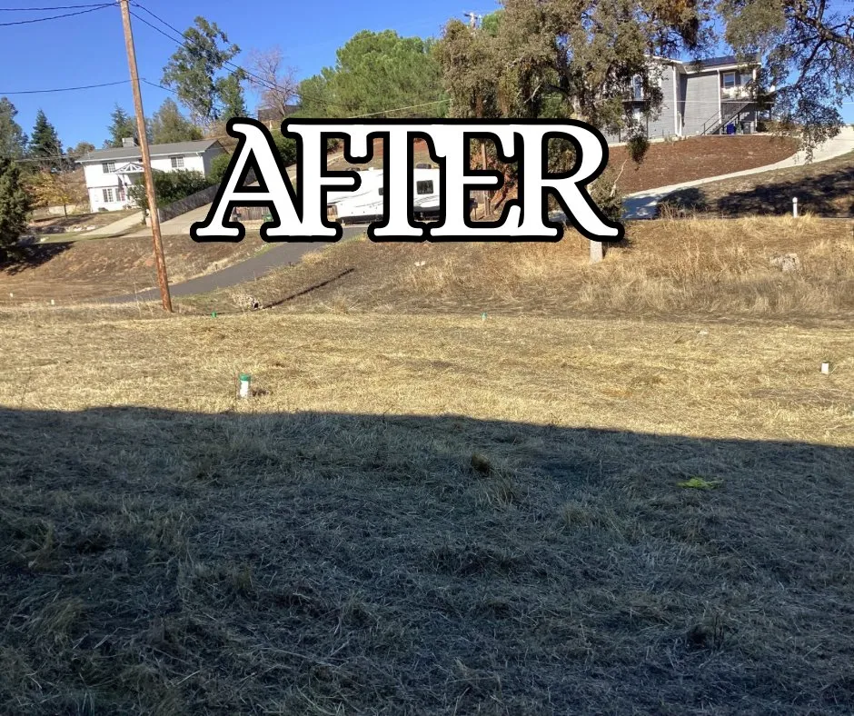 Professional yard cleanup service for outdoor upgrades in Lodi, CA by Crust Home Care