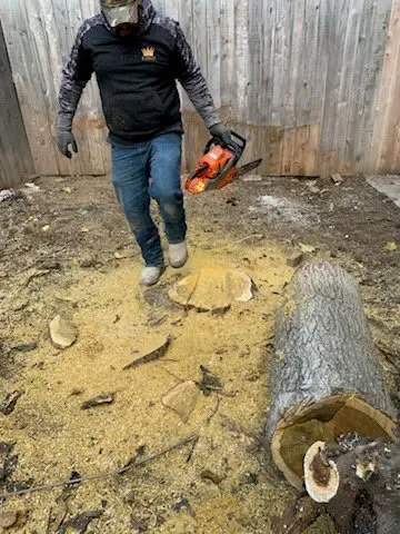 Affordable landscape installation experts serving Lodi, CA - Crust Home Care