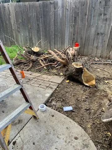 Custom yard cleanup service in Lodi, CA - Crust Home Care