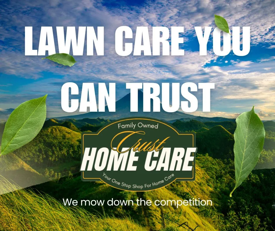 Affordable outdoor landscaping for year-round maintenance in Lodi, CA by Crust Home Care