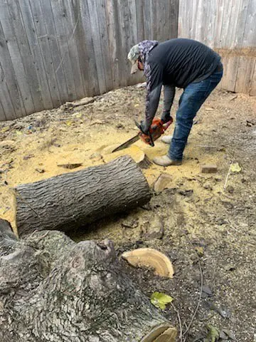 Reliable lawn care service in Lodi, CA by Crust Home Care