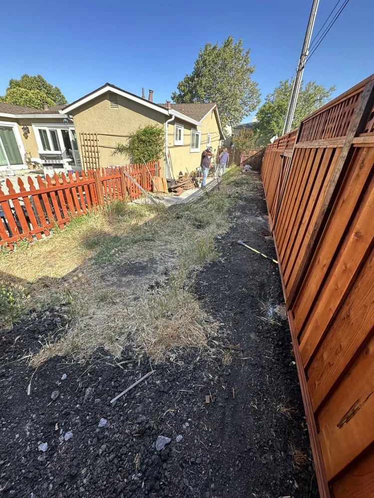 Expert yard maintenance in Stockton, CA by Cruz & Co Landscape