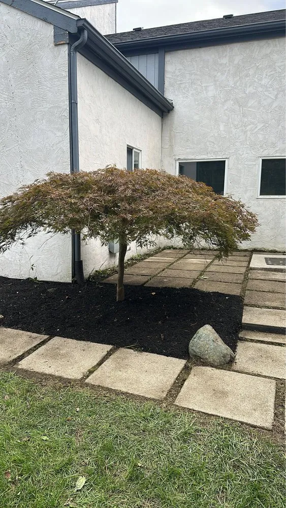 Professional lawn care service for year-round maintenance across Columbus, OH - Cruz & Company