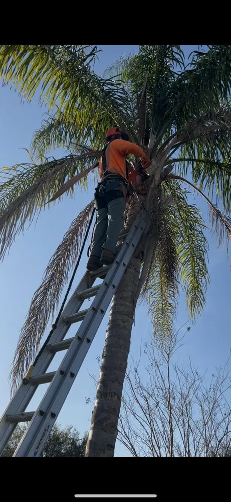 Reliable landscaping services experts serving Haines City, FL - Cruz & Cruz Professional Landscape Services