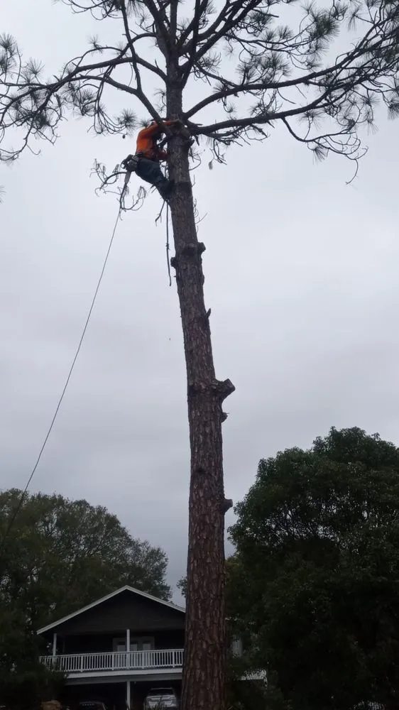 Local landscaping services experts serving Haines City, FL - Cruz & Cruz Professional Landscape Services