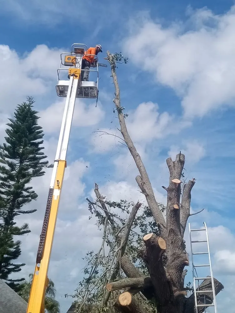 Affordable lawn care service in Haines City, FL by Cruz & Cruz Professional Landscape Services