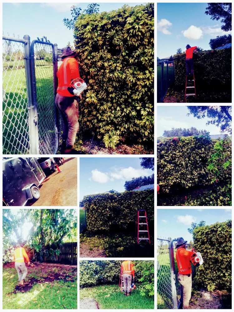 Custom lawn care service in Haines City, FL by Cruz & Cruz Professional Landscape Services