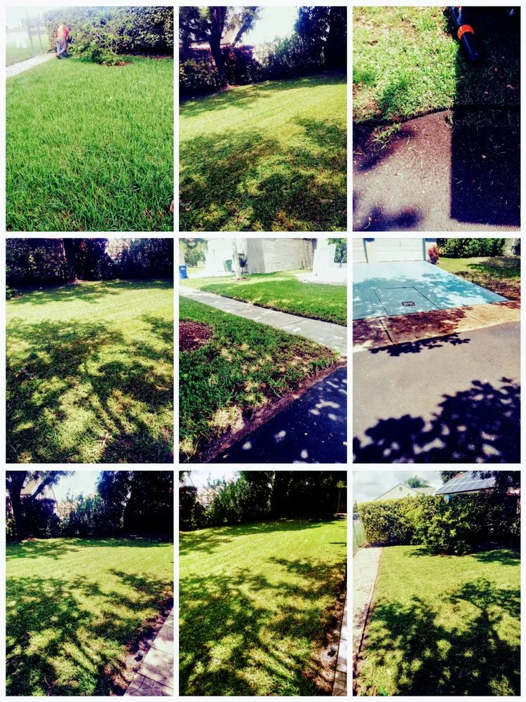 Reliable landscaping services in Haines City, FL by Cruz & Cruz Professional Landscape Services