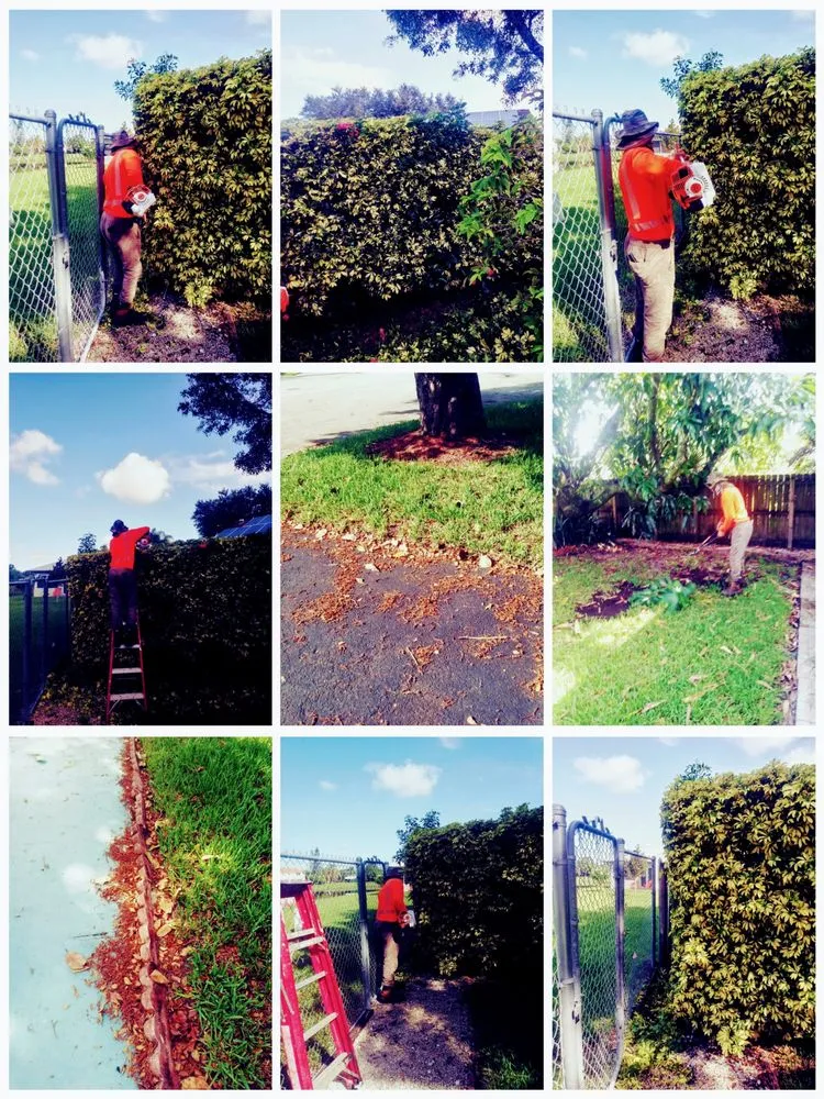 Reliable garden landscaping in Haines City, FL - Cruz & Cruz Professional Landscape Services