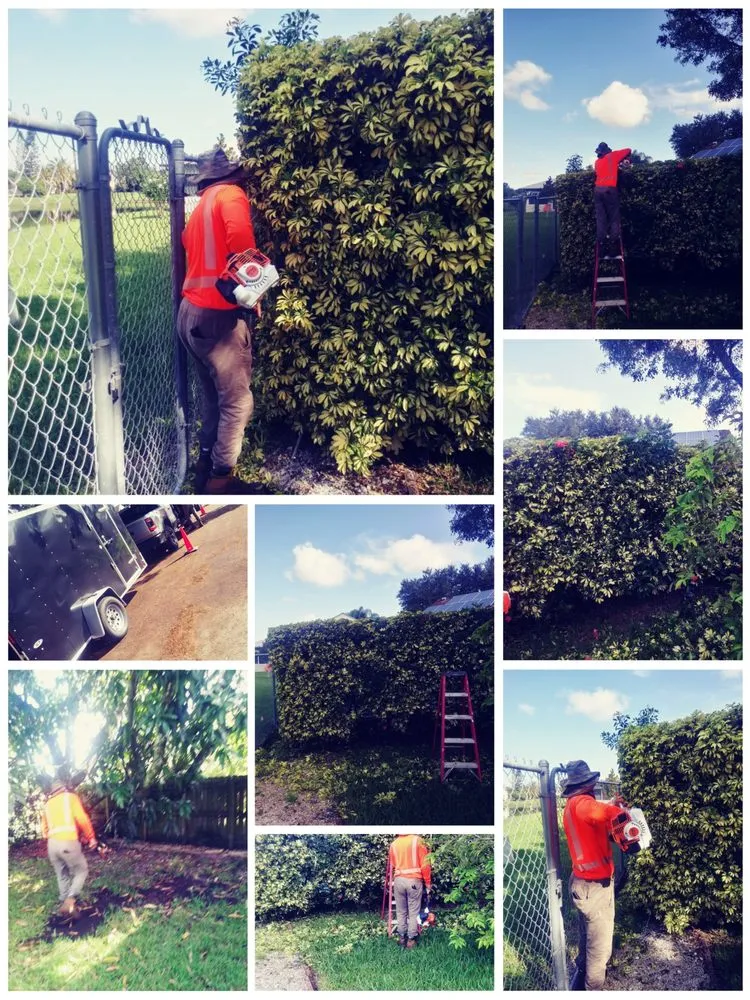 Affordable lawn care service experts serving Haines City, FL - Cruz & Cruz Professional Landscape Services