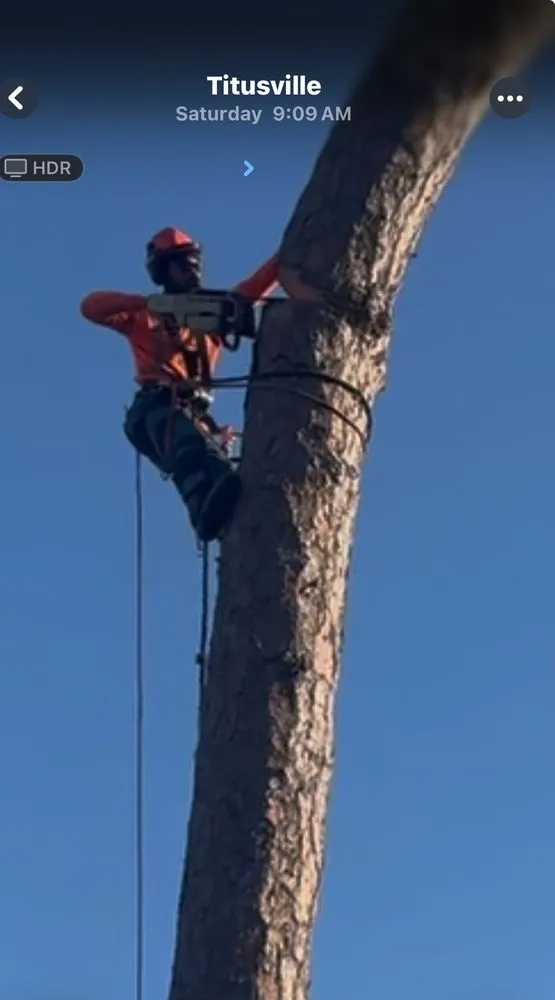 Trusted outdoor landscaping experts serving Haines City, FL - Cruz & Cruz Professional Landscape Services