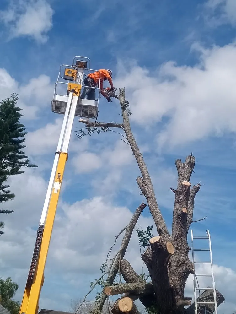 Local lawn mowing service with custom design across Haines City, FL - Cruz & Cruz Professional Landscape Services