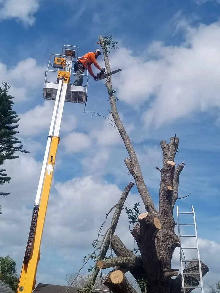 Affordable lawn mowing service experts serving Haines City, FL - Cruz & Cruz Professional Landscape Services