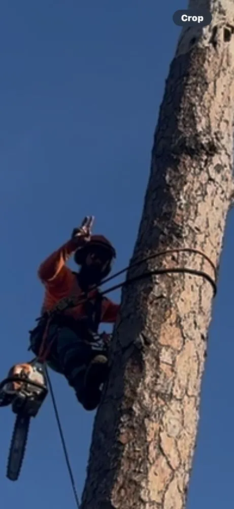 Custom landscaping services experts serving Haines City, FL - Cruz & Cruz Professional Landscape Services