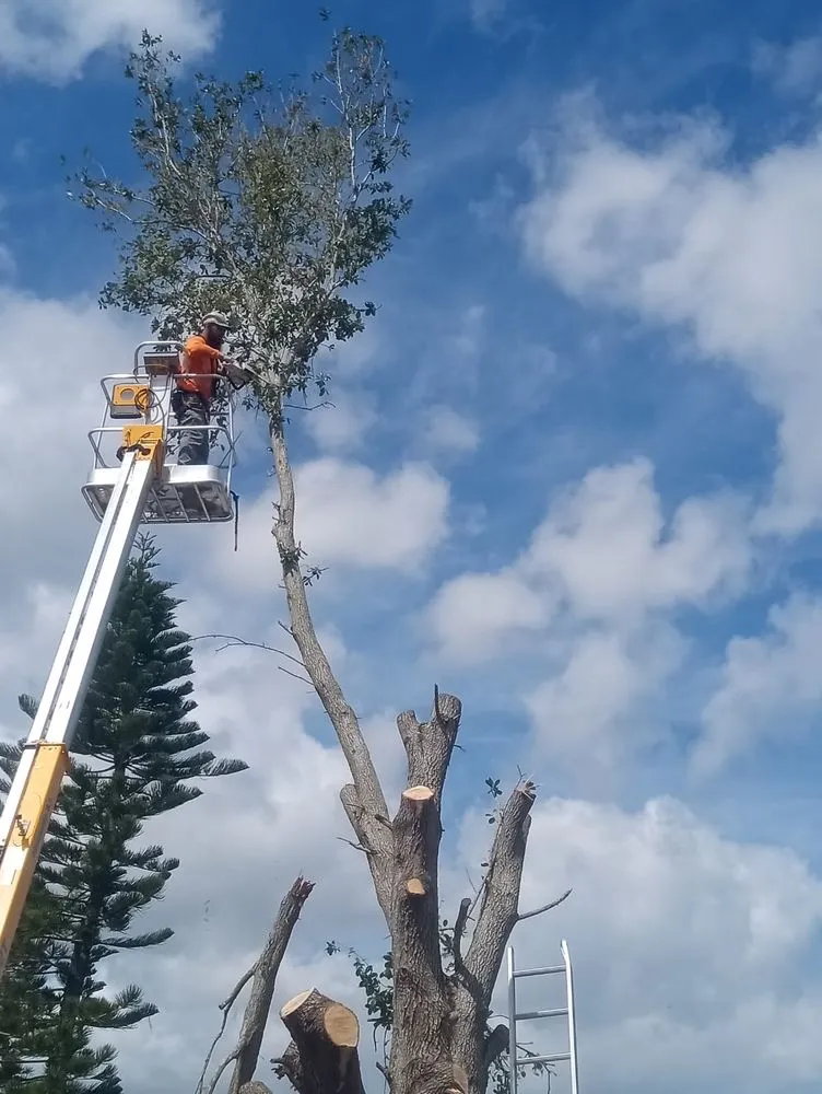 Custom outdoor landscaping for homes in Haines City, FL by Cruz & Cruz Professional Landscape Services