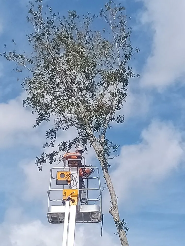 Top-rated landscape installation in Haines City, FL by Cruz & Cruz Professional Landscape Services