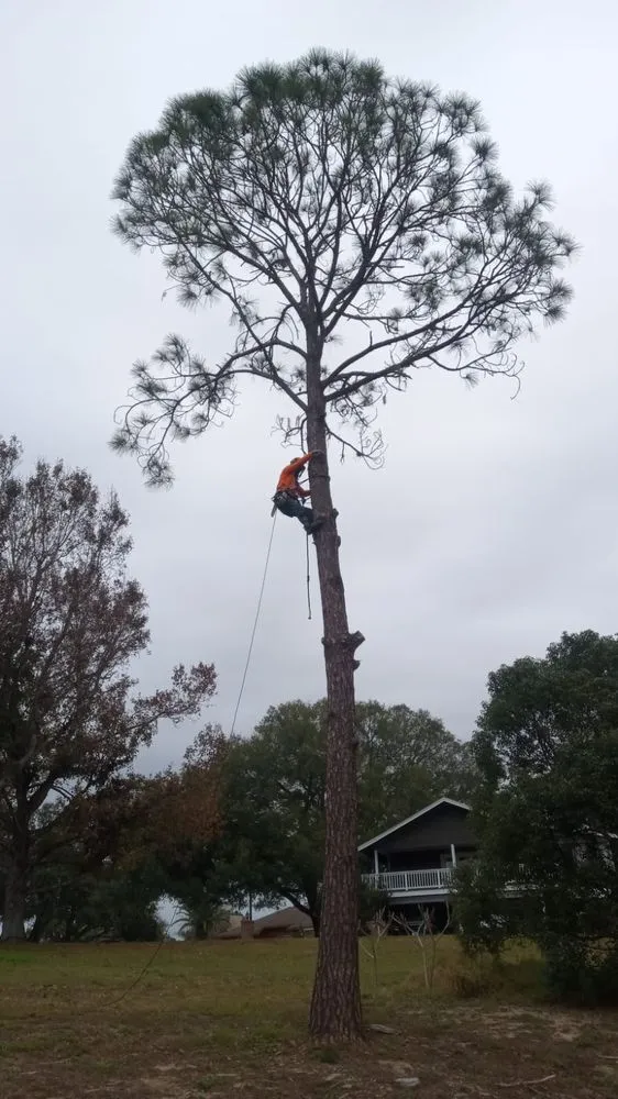 Trusted outdoor landscaping in Haines City, FL - Cruz & Cruz Professional Landscape Services