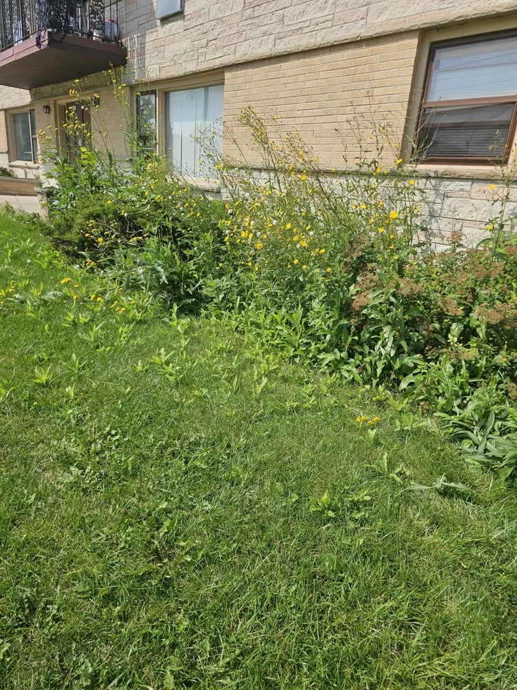 Affordable outdoor landscaping near you across South Milwaukee, WI - Cruz and Co