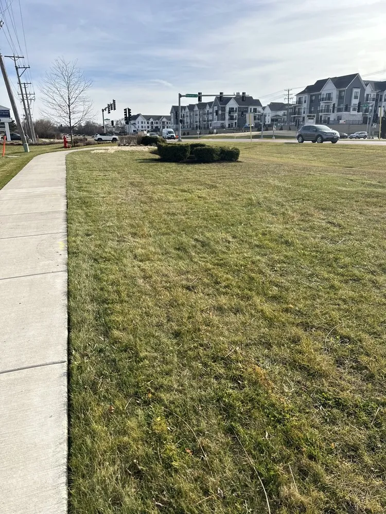 Custom landscaping services in Waukegan, IL - Cruz Brothers Landscaping Services