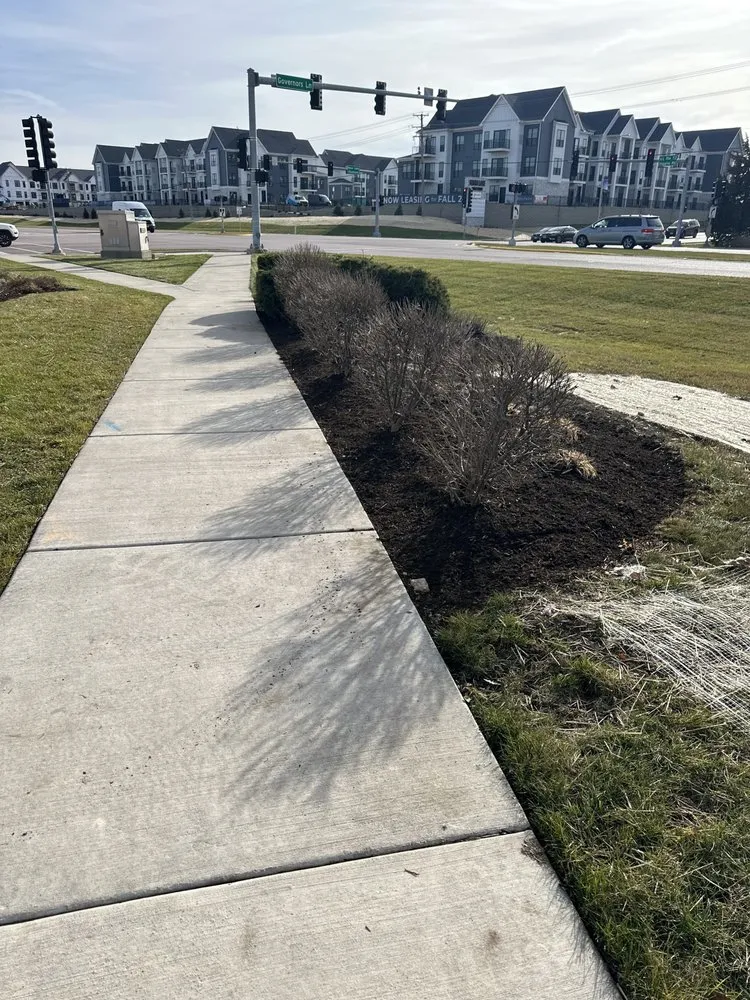 Local yard cleanup service in Waukegan, IL by Cruz Brothers Landscaping Services