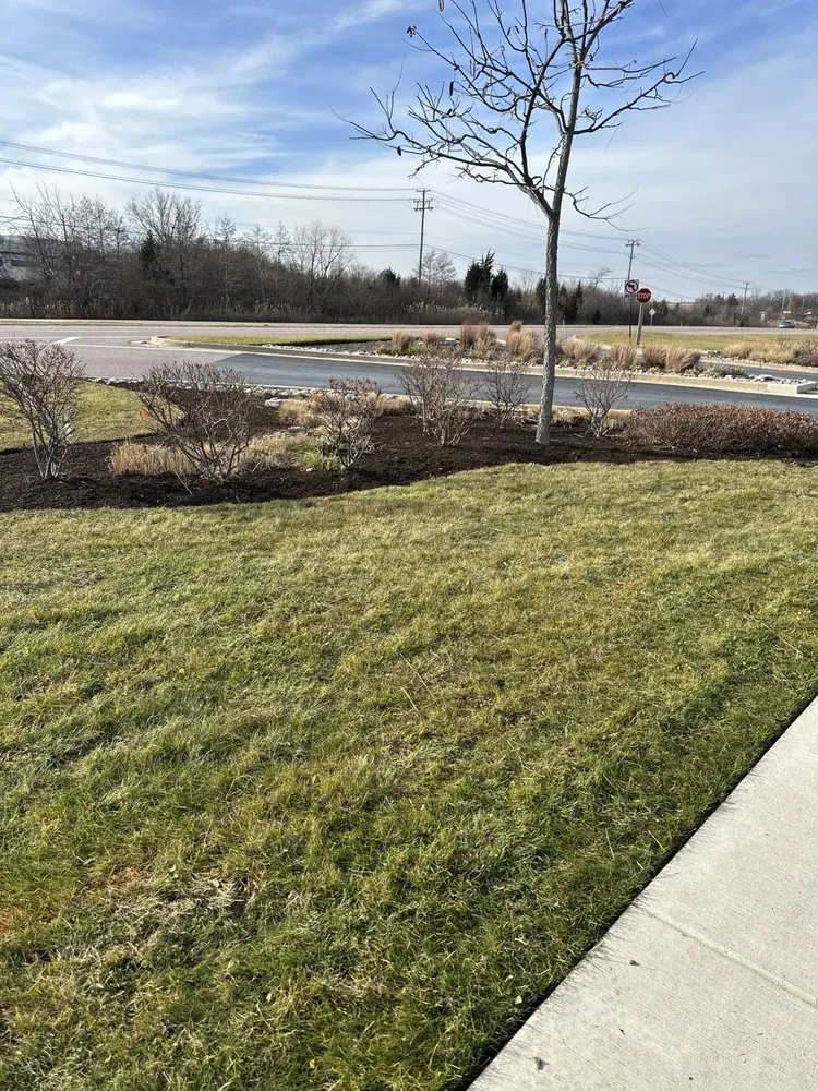 Custom yard cleanup service in Waukegan, IL by Cruz Brothers Landscaping Services