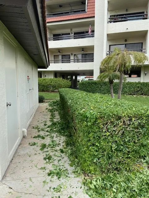 Local landscaping services in Clearwater, FL by Cruz