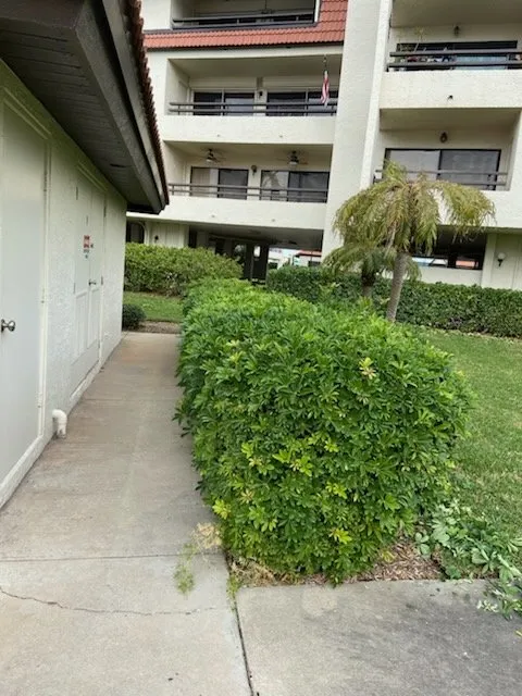 Professional yard maintenance for beautiful yards in Clearwater, FL by Cruz