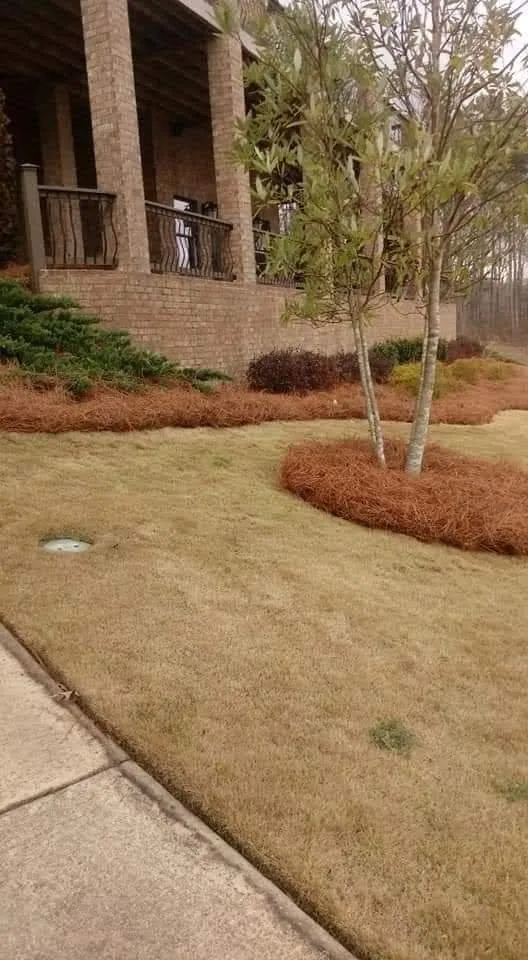 Affordable lawn care service in Pell City, AL - Cruz Construction & Do It All Services