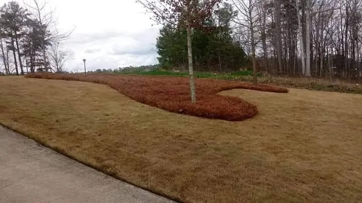 Affordable lawn care service in Pell City, AL by Cruz Construction & Do It All Services