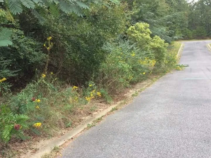 Top-rated lawn mowing service in Pell City, AL by Cruz Construction & Do It All Services