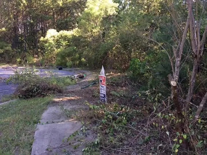 Top-rated lawn care service with custom design in Pell City, AL by Cruz Construction & Do It All Services