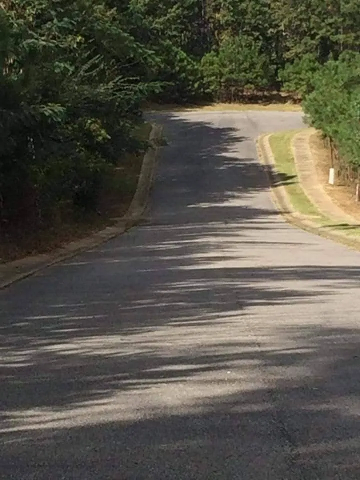 Expert garden landscaping in Pell City, AL - Cruz Construction & Do It All Services