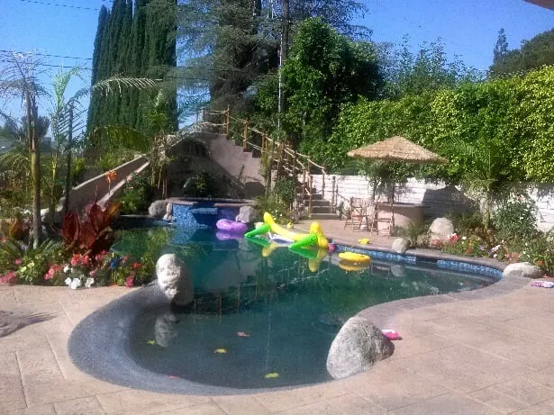 Reliable yard cleanup service experts serving Northridge, CA - Cruz Construction & Landscape