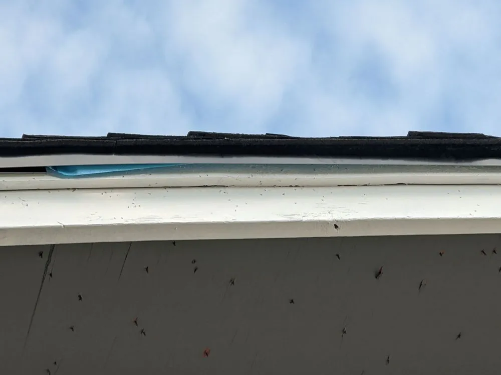 Top-rated yard cleanup service for beautiful yards in Wenatchee, WA by Cruz Construction Services