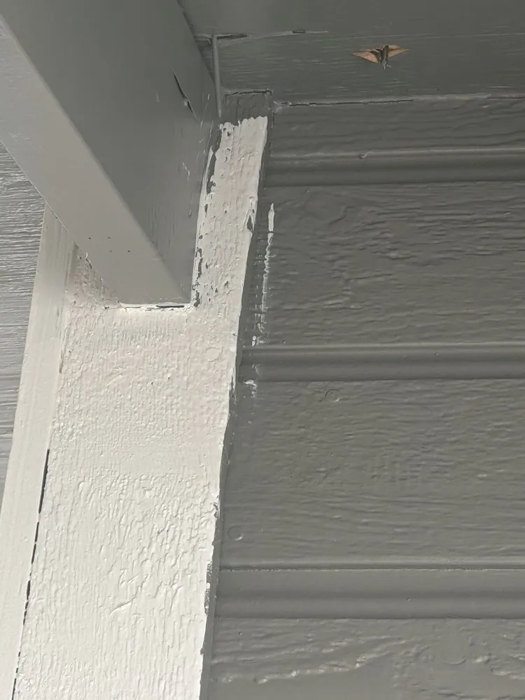 Custom yard cleanup service in Wenatchee, WA by Cruz Construction Services