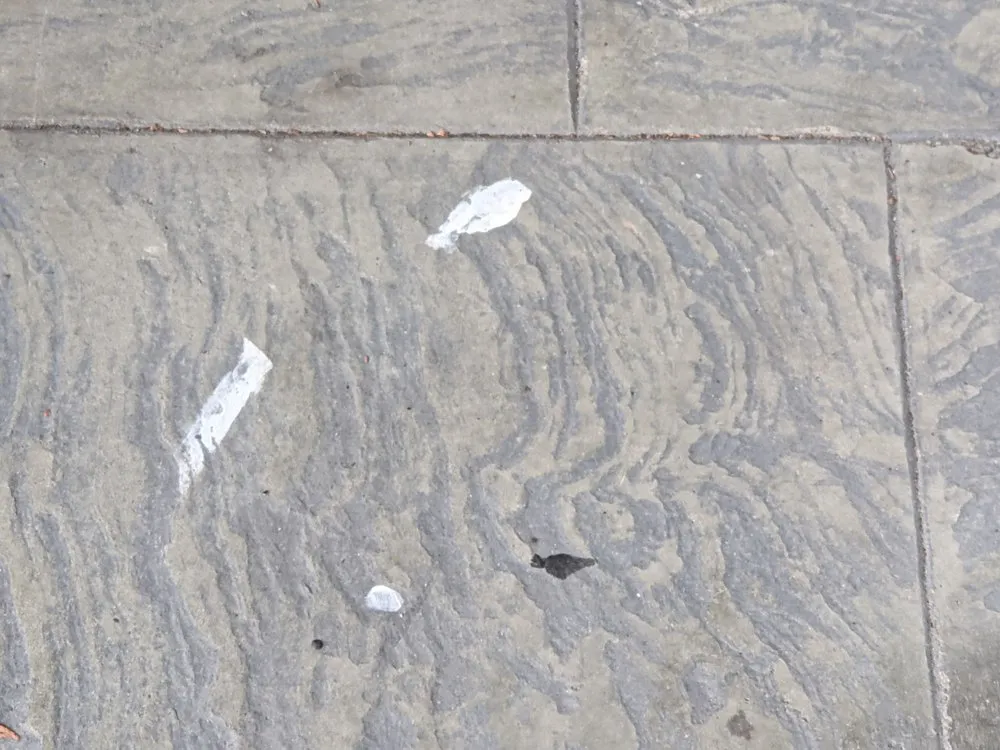 Expert residential landscaping for beautiful yards in Wenatchee, WA by Cruz Construction Services