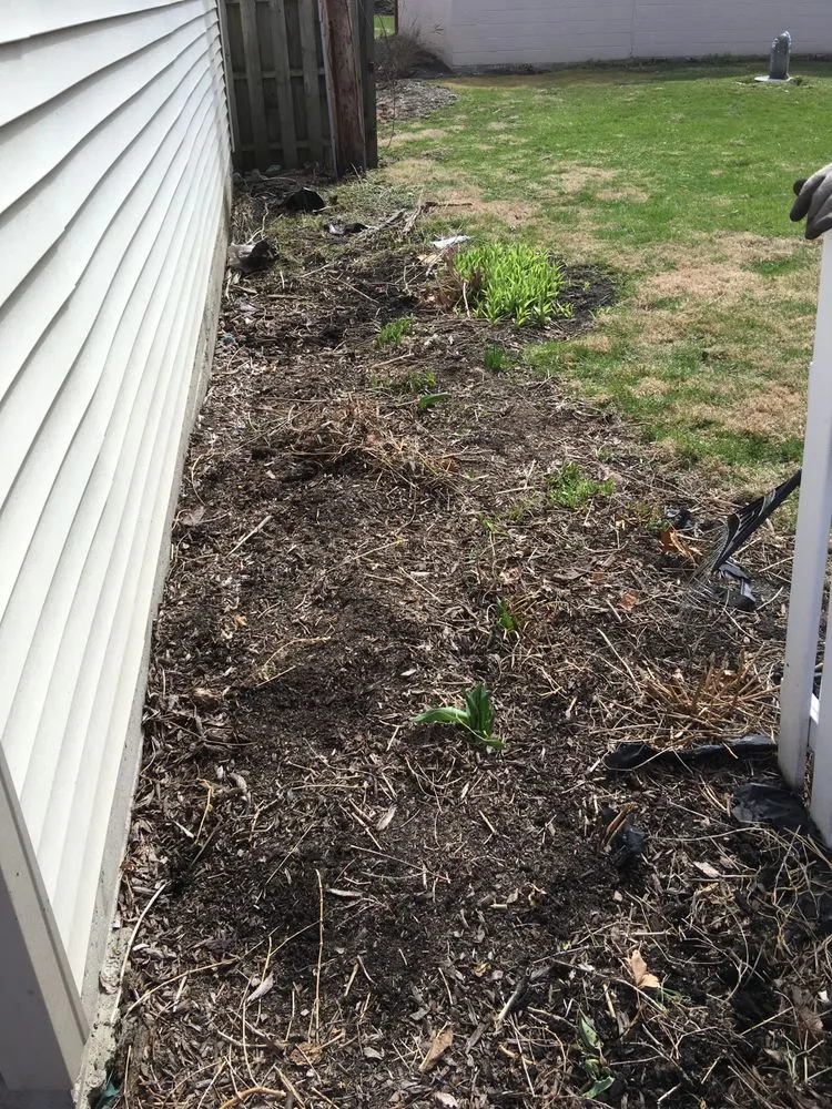 Trusted yard maintenance in Arlington Heights, IL - Cruz Crew Lawn Service