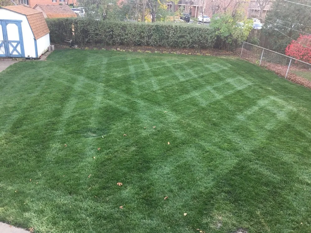 Affordable yard maintenance for beautiful yards across Arlington Heights, IL - Cruz Crew Lawn Service