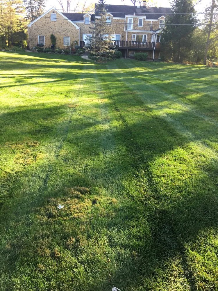 Expert lawn care service in Arlington Heights, IL by Cruz Crew Lawn Service