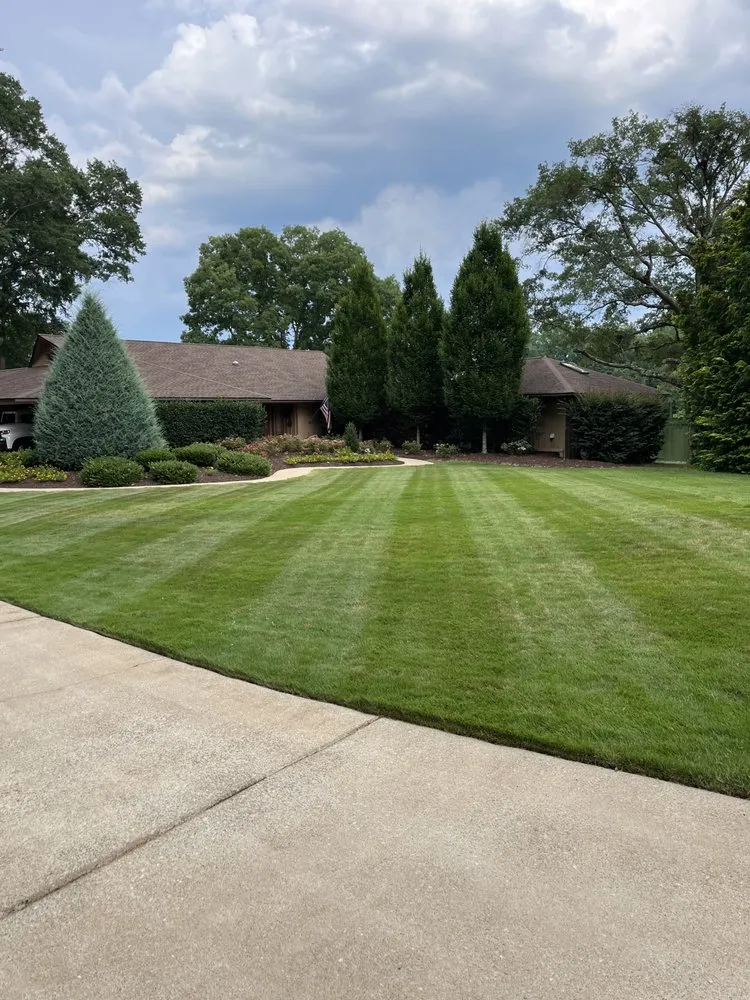 Reliable landscaping services for year-round maintenance in Lyman, SC by Cruz Elite Landscaping