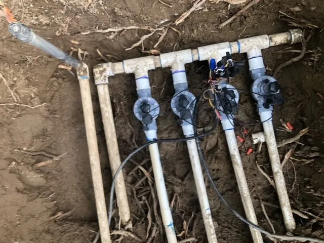 Expert lawn care service in Bakersfield, CA - Cruz Gardening Service