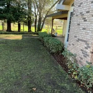 Professional yard cleanup service for year-round maintenance across Bakersfield, CA - Cruz Gardening Service