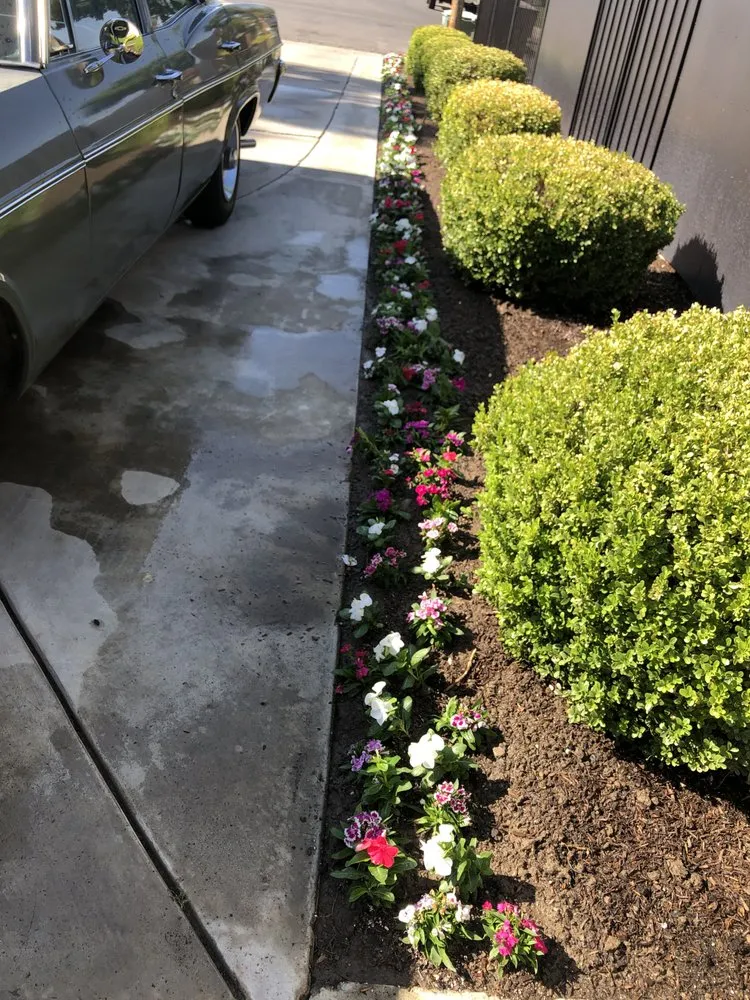 Affordable yard maintenance in Bakersfield, CA by Cruz Gardening Service