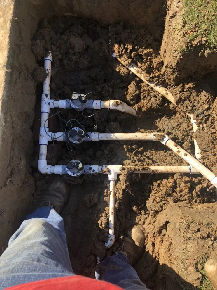 Professional yard maintenance in Bakersfield, CA - Cruz Gardening Service