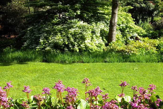 Local lawn mowing service for homes in Bakersfield, CA by Cruz Gardening Service