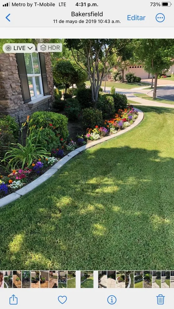 Custom lawn care service for residential properties in Bakersfield, CA by Cruz Gardening Service