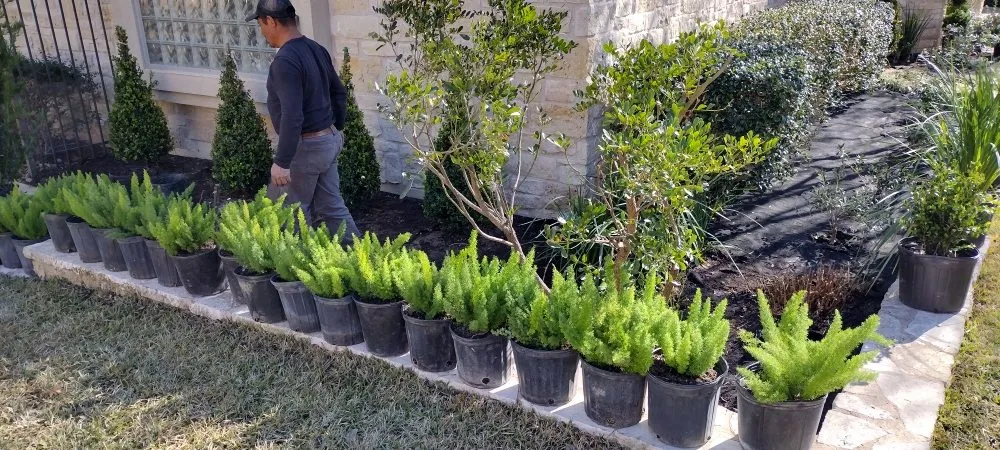 Custom landscape installation for beautiful yards across Austin, TX - Cruz General Contractors